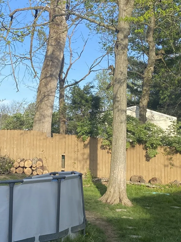 Local landscape design in Cincinnati, OH by L O R D’s Landscaping & Tree Removal