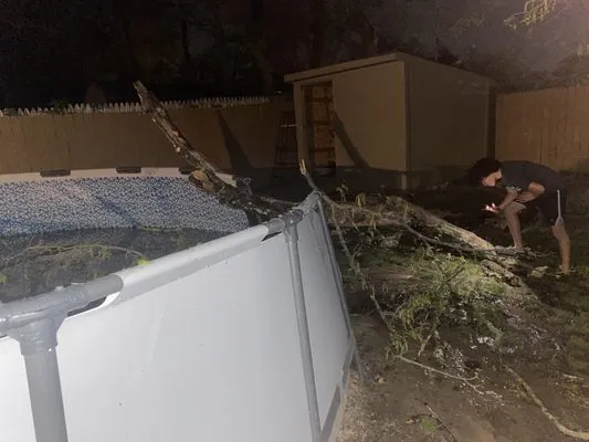 L O R D’s Landscaping & Tree Removal Logo