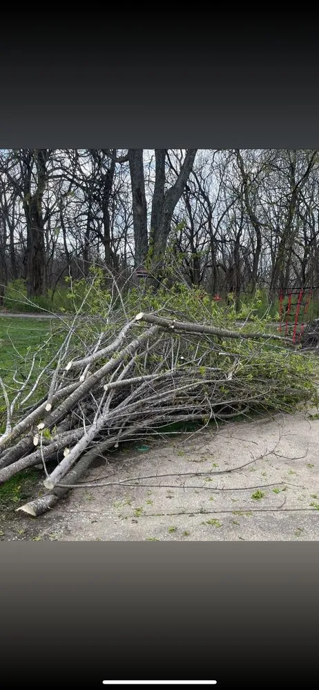 Custom yard maintenance near you across Belton, MO - L& Os Tree &Yard Service