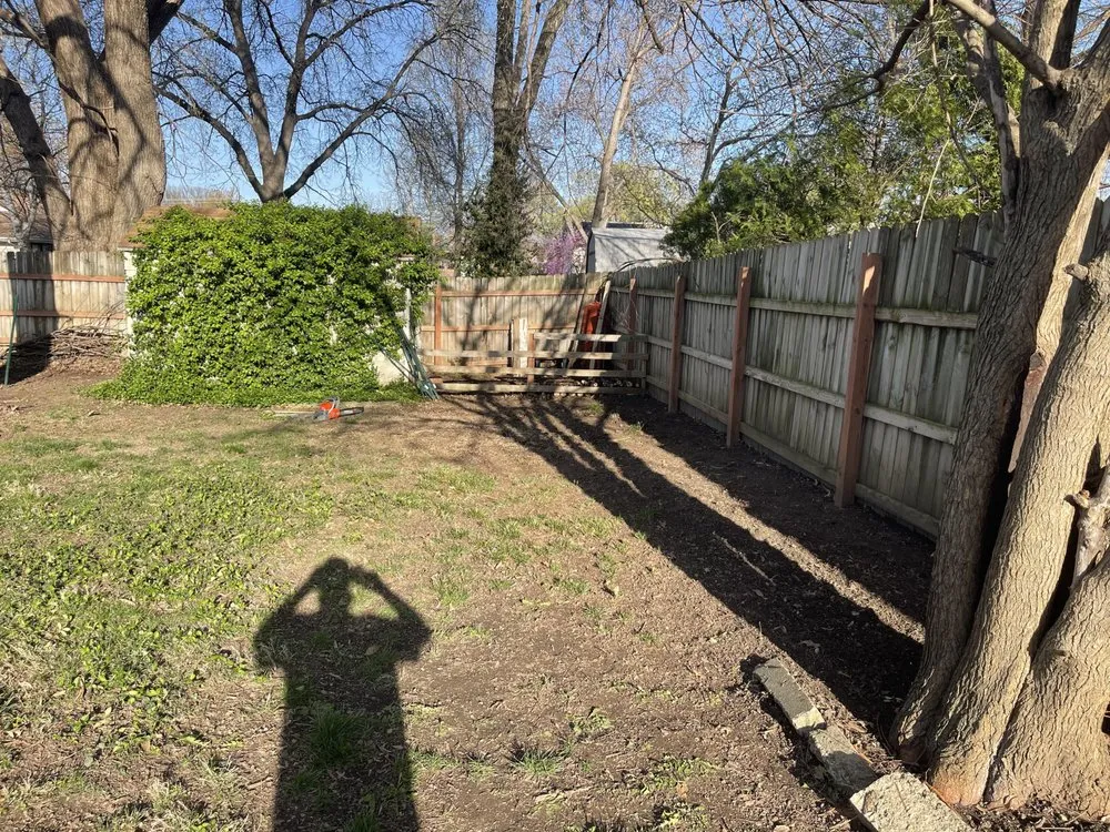 Reliable yard cleanup service for residential properties in Belton, MO by L& Os Tree &Yard Service