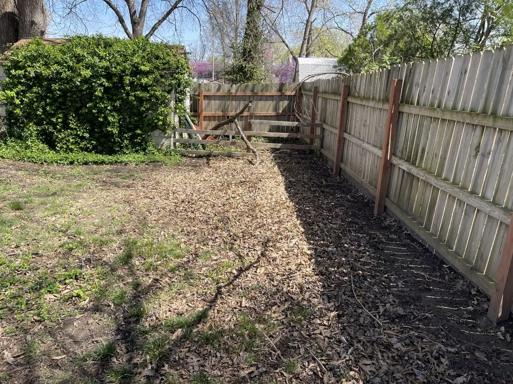 Affordable lawn care service in Belton, MO by L& Os Tree &Yard Service