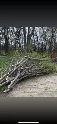 L& Os Tree &Yard Service Logo