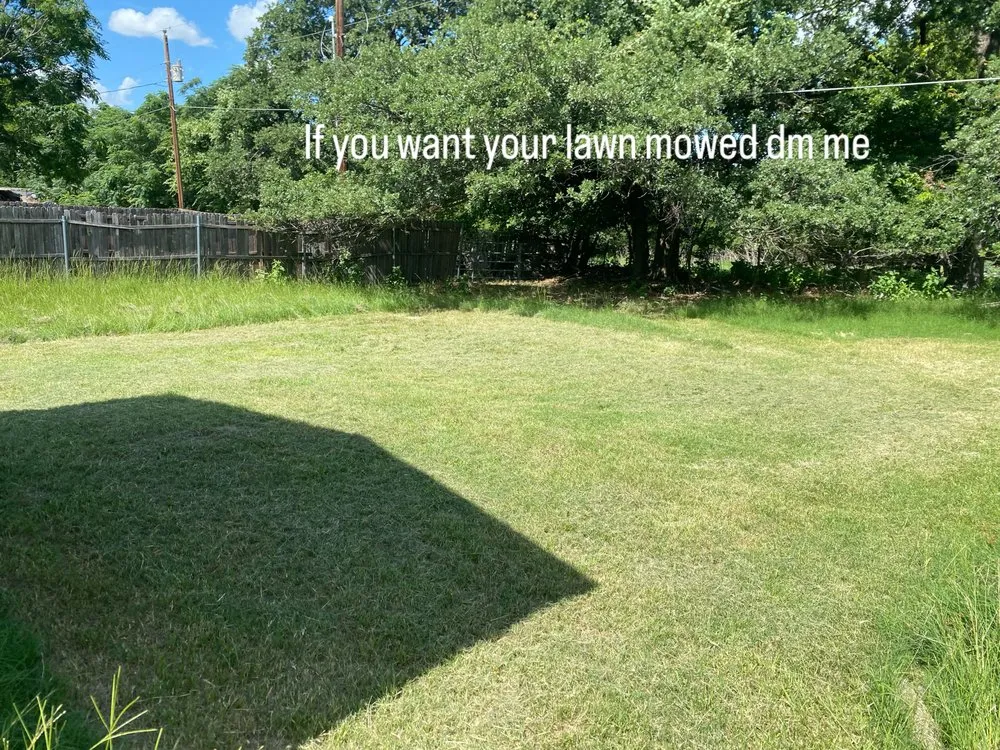 Reliable yard cleanup service in Azle, TX by L R Buisness