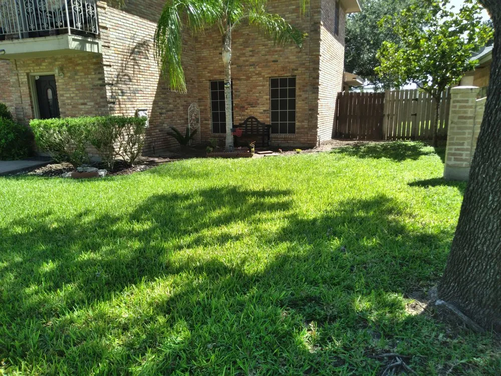 Custom yard maintenance for year-round maintenance across McAllen, TX - L R J Lawn Services