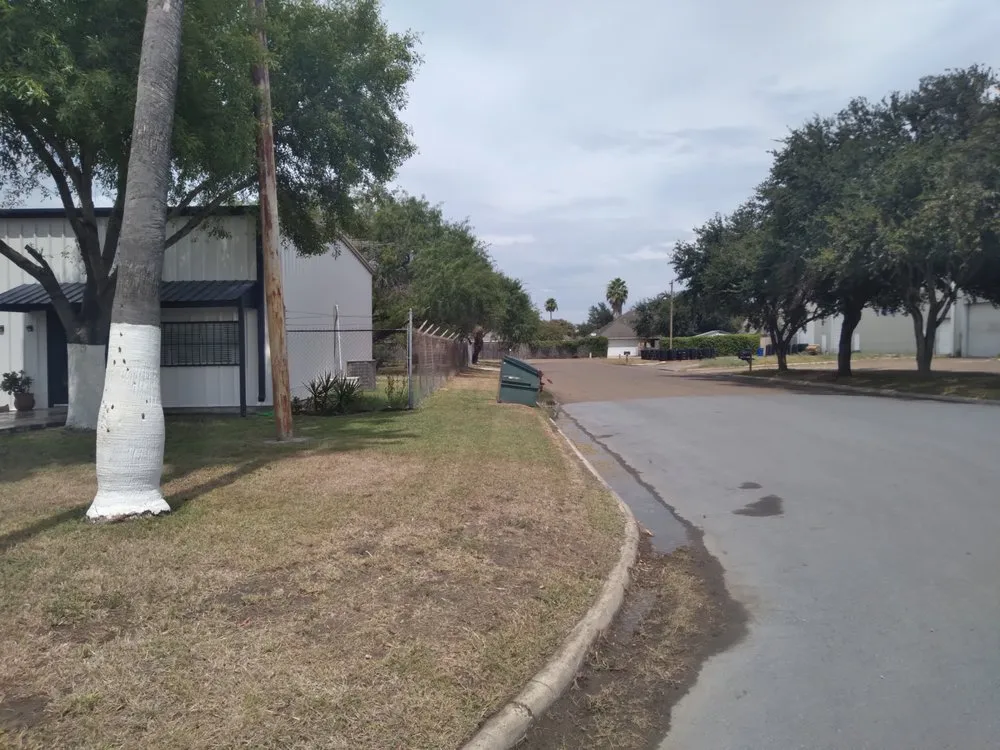 Top-rated outdoor landscaping near you in McAllen, TX by L R J Lawn Services