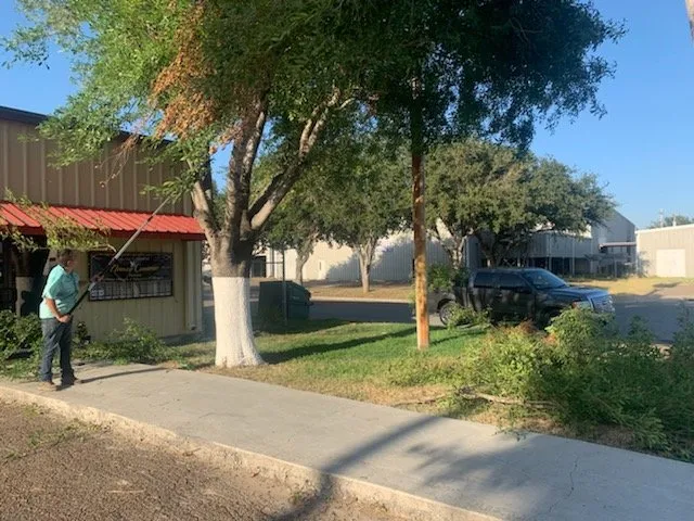 Professional lawn mowing service for year-round maintenance in McAllen, TX by L R J Lawn Services