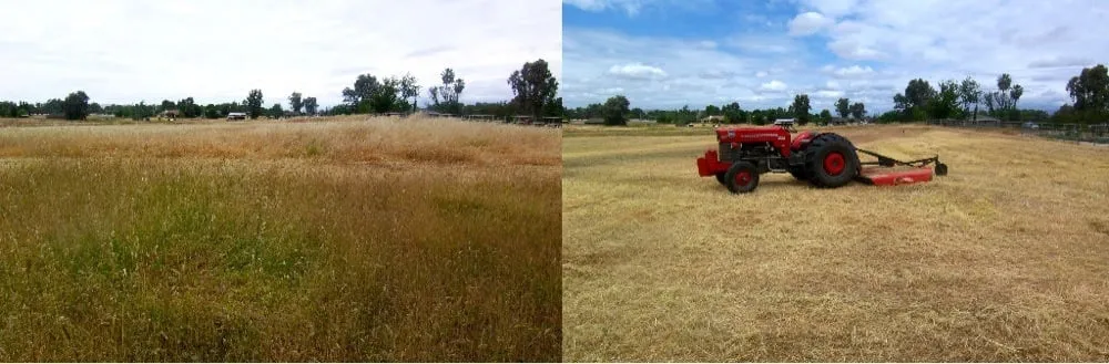 Top-rated landscape installation in Fresno, CA by L R Tractor