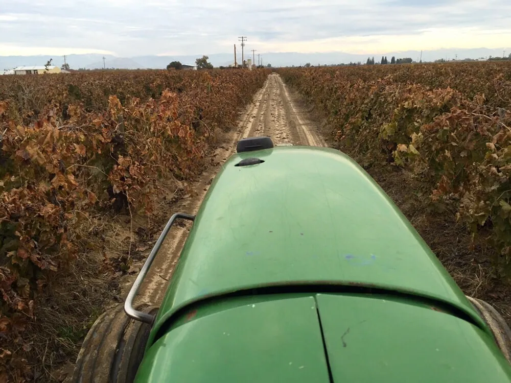 Professional yard cleanup service for residential properties in Fresno, CA by L R Tractor