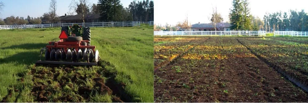Local landscape installation in Fresno, CA - L R Tractor