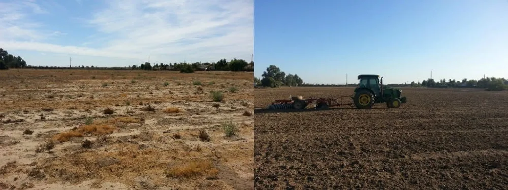 Expert yard maintenance in Fresno, CA - L R Tractor