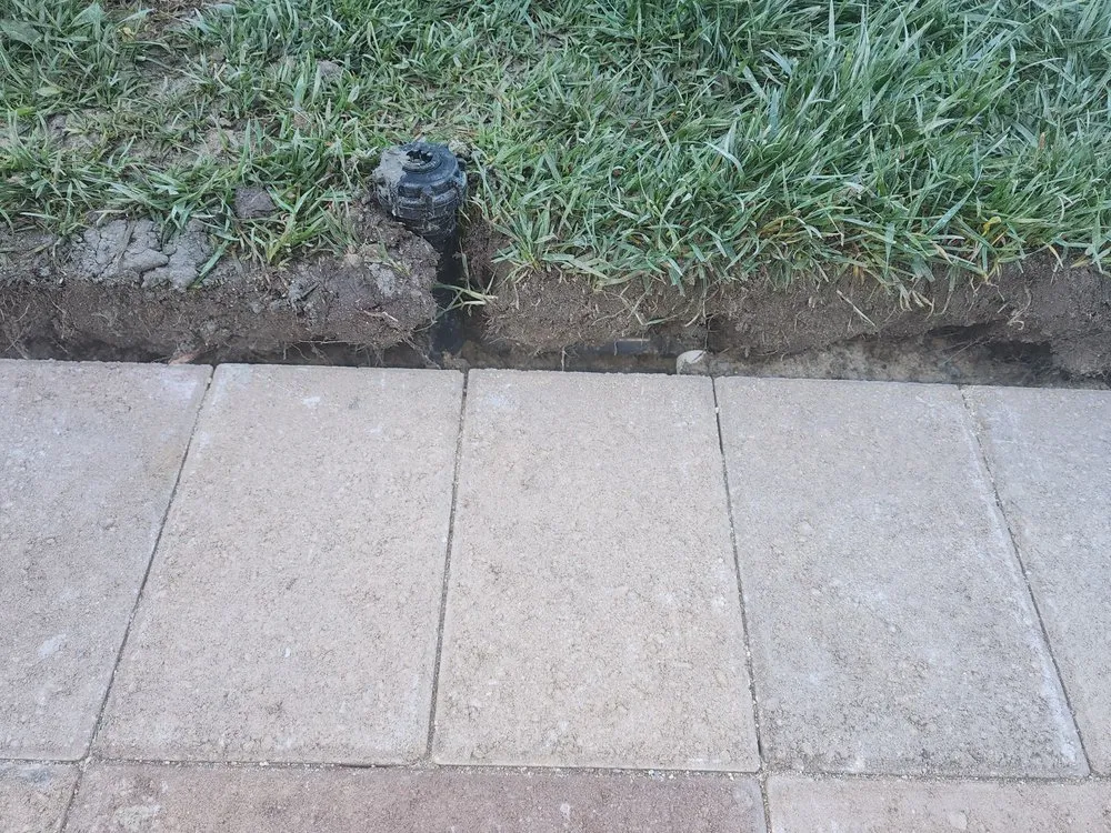 Trusted landscaping services for beautiful yards in San Diego, CA by L. Raymond's Landscaping & Construction