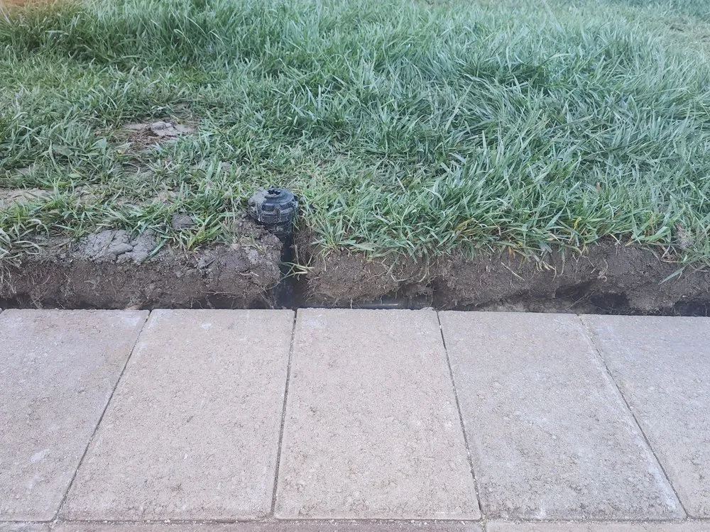 Trusted yard maintenance experts serving San Diego, CA - L. Raymond's Landscaping & Construction