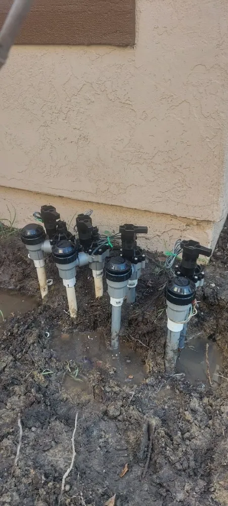 Top-rated yard cleanup service in San Diego, CA by L. Raymond's Landscaping & Construction