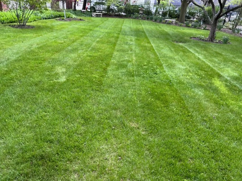 Local residential landscaping in Riverdale, IL by L Rojas Landscaping