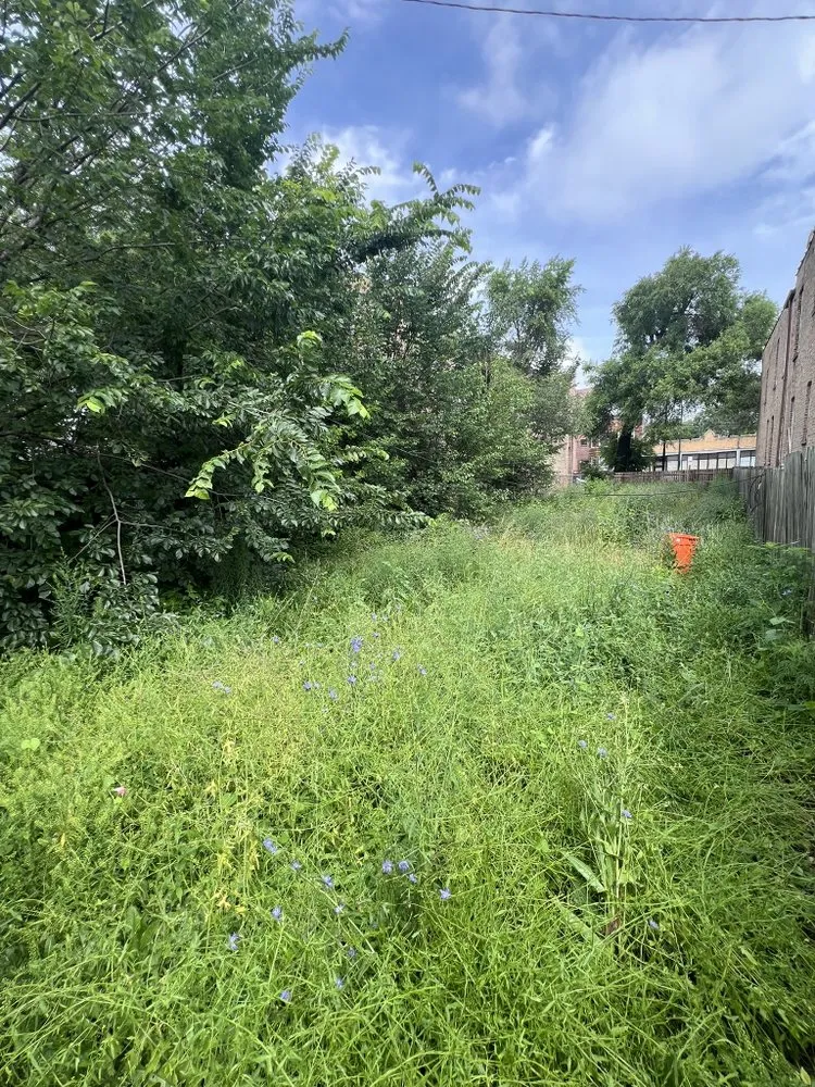 Local garden landscaping for outdoor upgrades in Riverdale, IL by L Rojas Landscaping