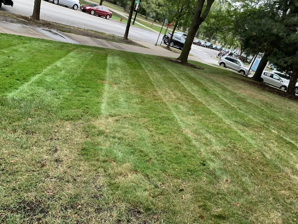 Expert garden landscaping experts serving Riverdale, IL - L Rojas Landscaping