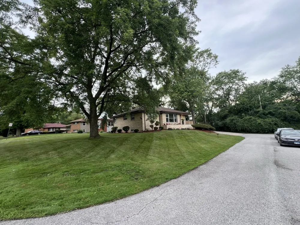 Professional yard cleanup service for outdoor upgrades across Riverdale, IL - L Rojas Landscaping