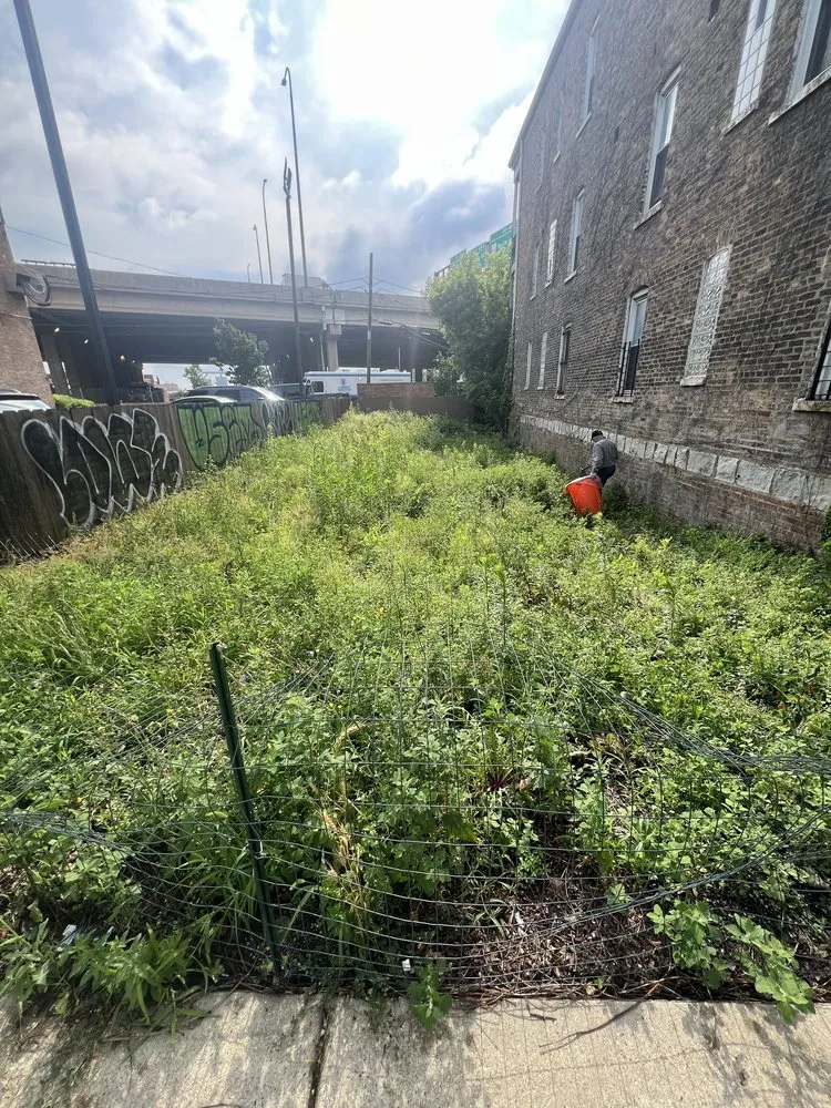 Local landscaping services for outdoor upgrades in Riverdale, IL by L Rojas Landscaping