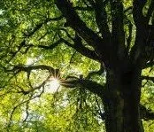 Reliable lawn care service in Kewaskum, WI by L S Landscapes & Tree Care