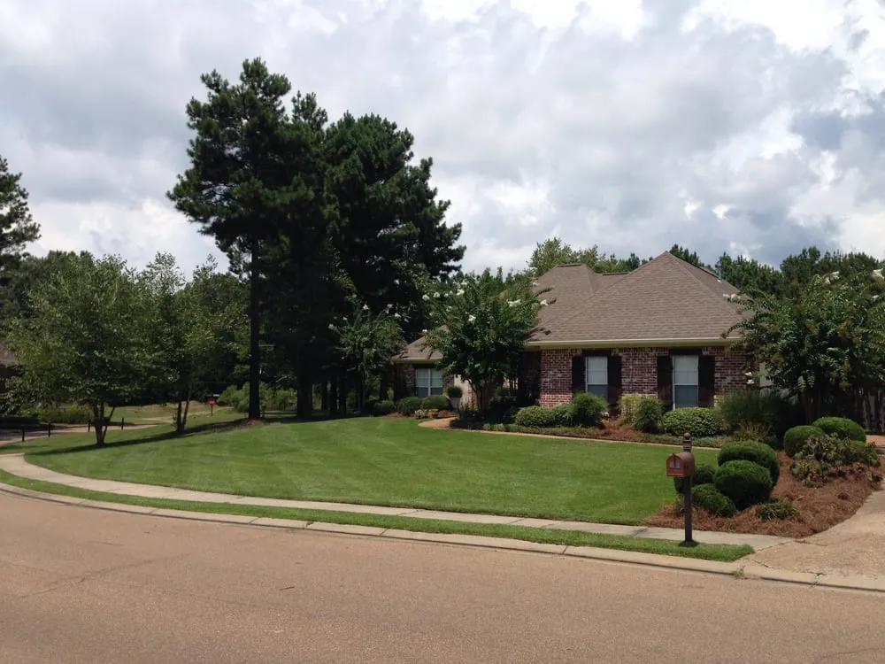 Custom lawn care service for beautiful yards in Madison, MS by L Smith Lawn Service