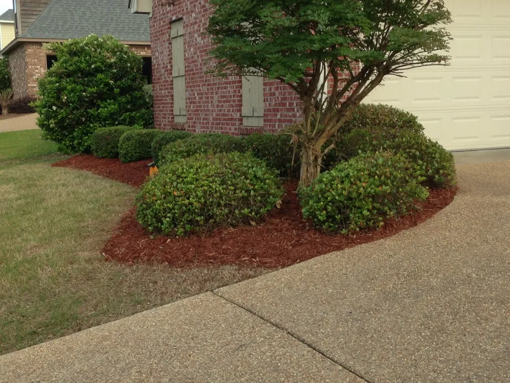 Professional residential landscaping experts serving Madison, MS - L Smith Lawn Service