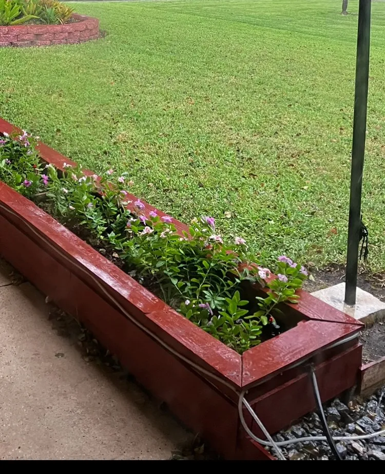 Affordable outdoor landscaping in Tampa Bay, FL - L Squad