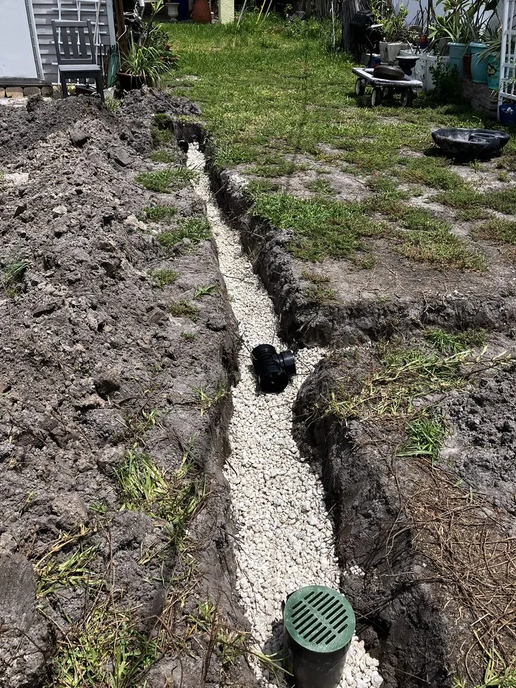 Top-rated yard maintenance in Tampa Bay, FL by L Squad