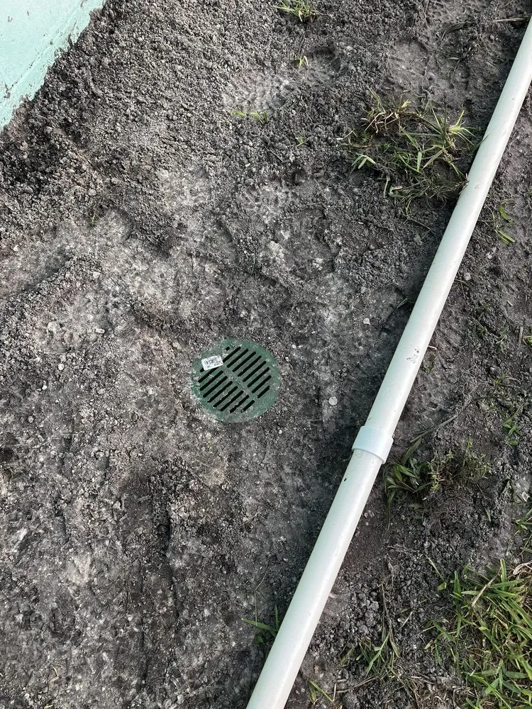 Local yard cleanup service experts serving Tampa Bay, FL - L Squad