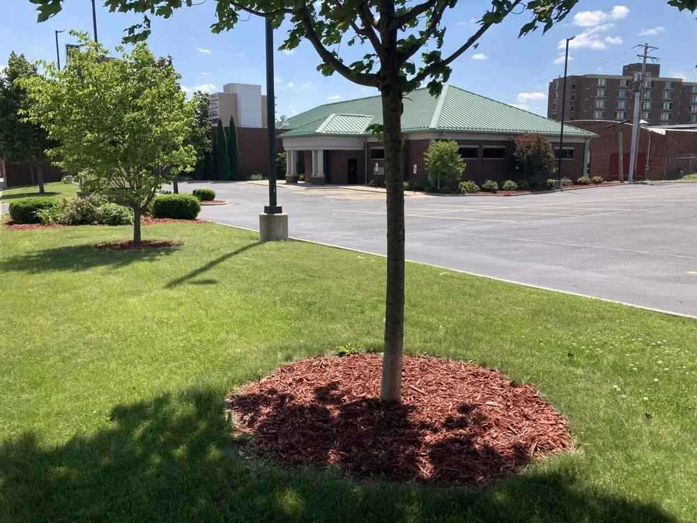 Expert landscape installation near you across Decatur, IL - L Squared Aesthetics