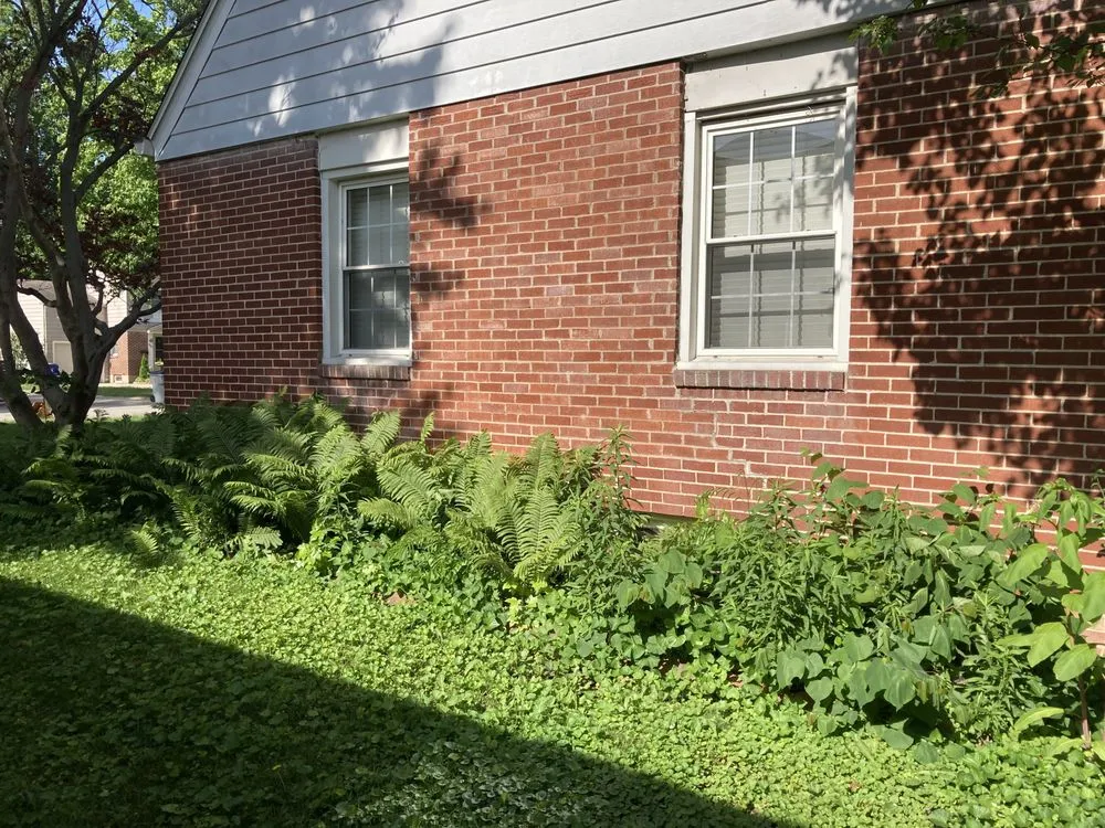 Expert yard maintenance in Decatur, IL by L Squared Aesthetics