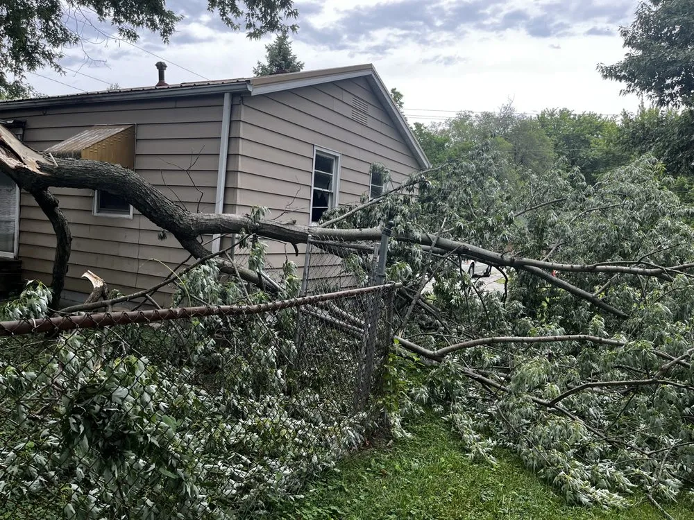 Affordable landscape design with custom design in Decatur, IL by L Squared Aesthetics