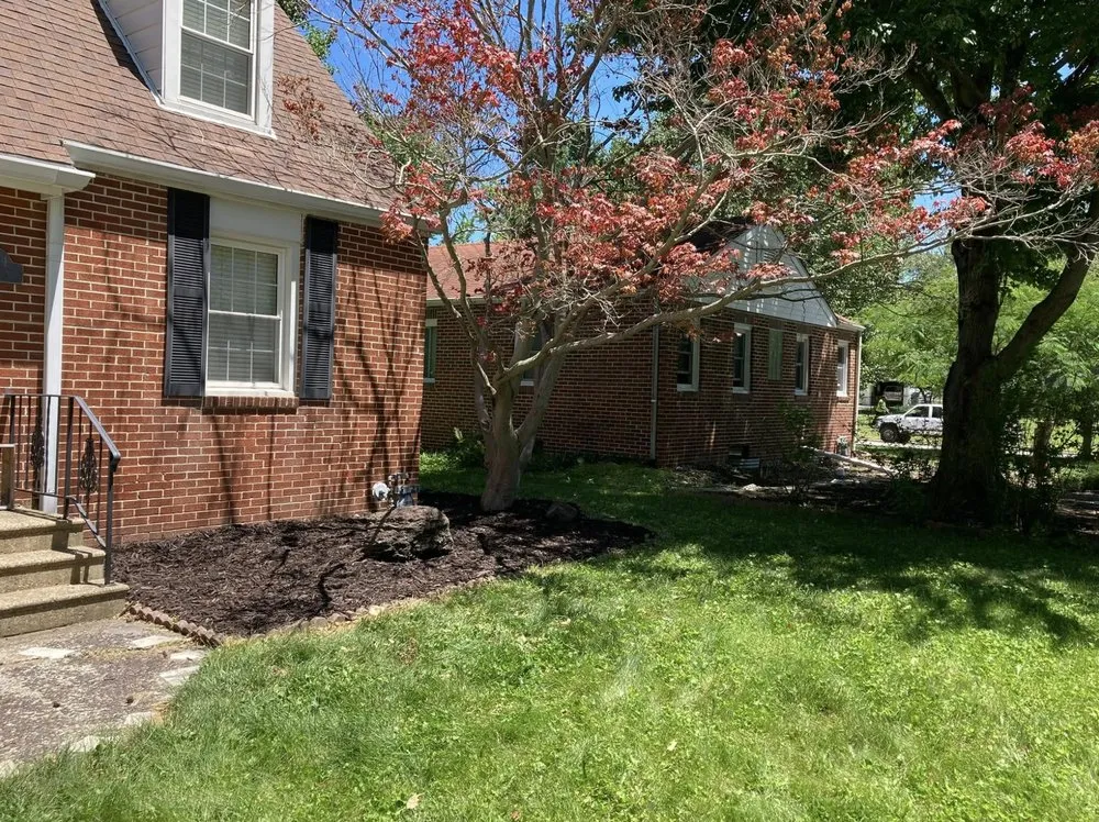 Affordable yard cleanup service in Decatur, IL by L Squared Aesthetics