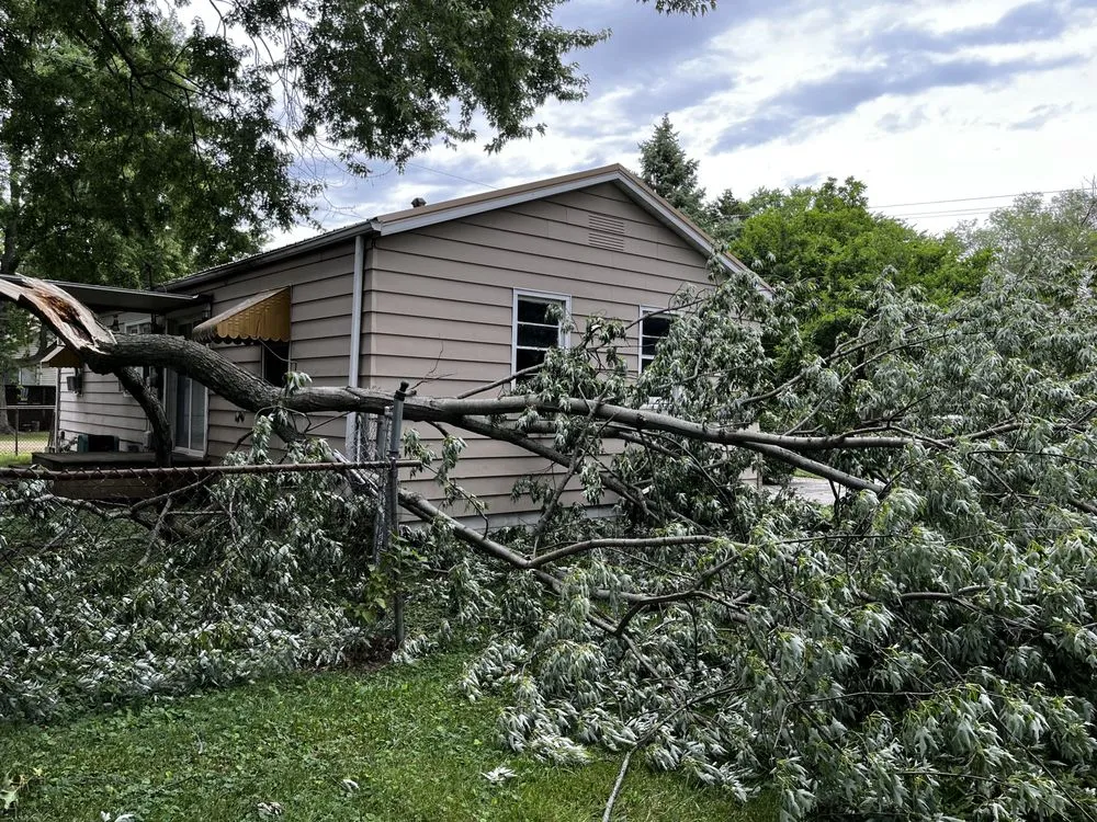 Affordable landscape design in Decatur, IL by L Squared Aesthetics