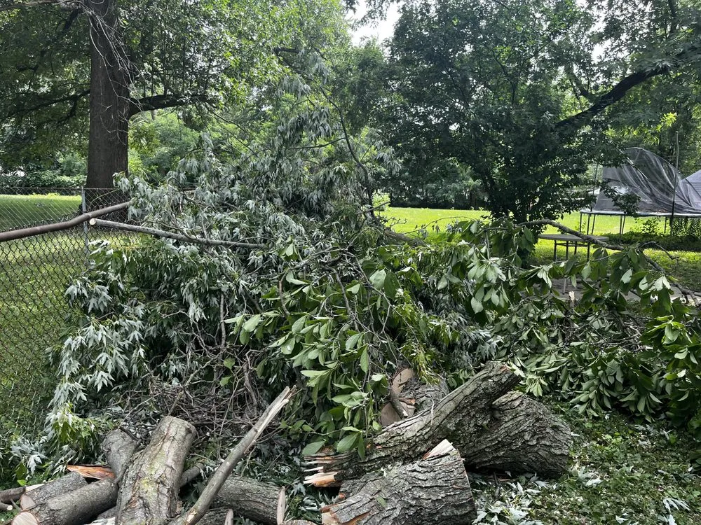 Professional yard maintenance for residential properties across Decatur, IL - L Squared Aesthetics