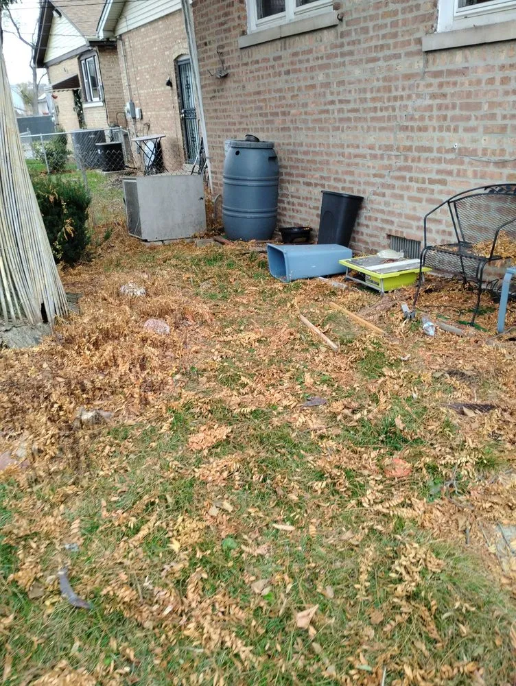 Reliable yard maintenance for beautiful yards across Chicago, IL - L Williams Landscaping