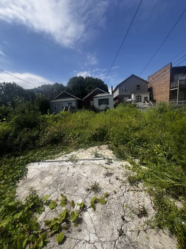 Custom yard cleanup service in Chicago, IL by L Williams Landscaping