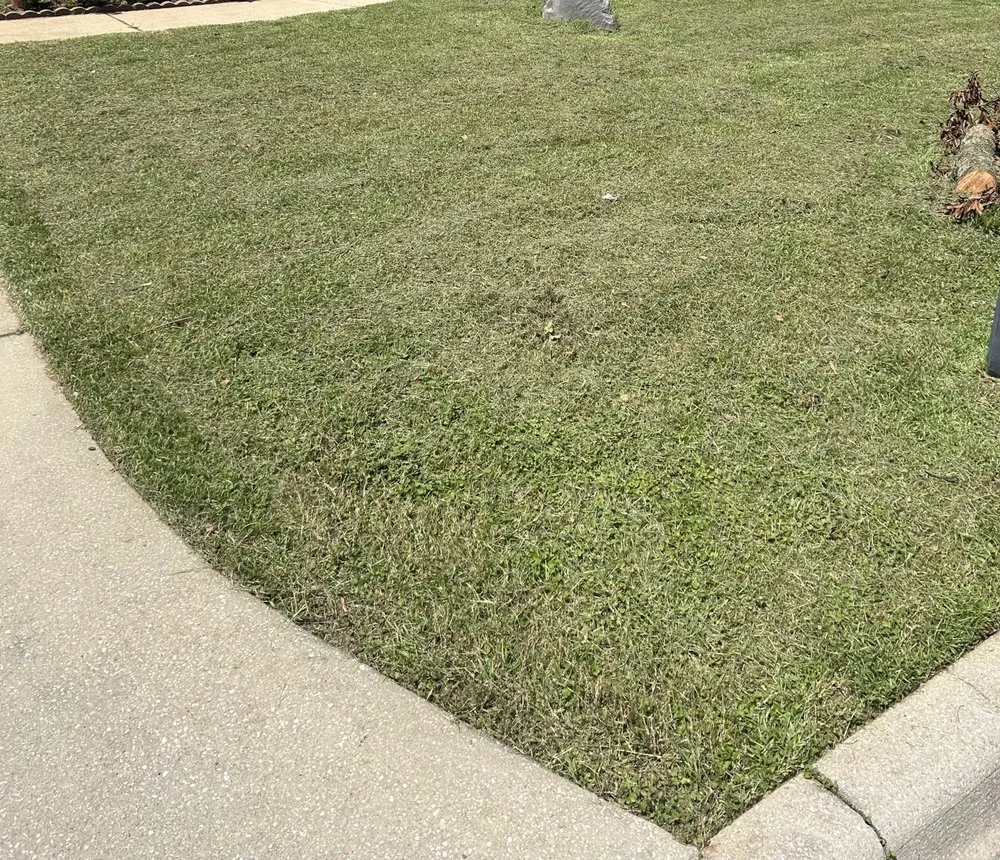Top-rated landscape design in Tallahassee, FL by L3 Lawn Care Service