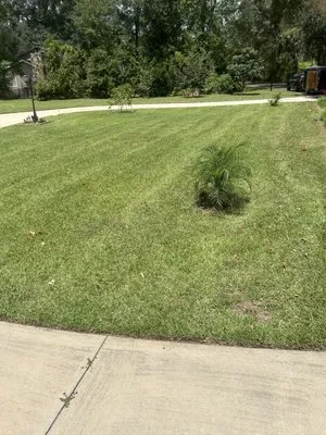 L3 Lawn Care Service Logo