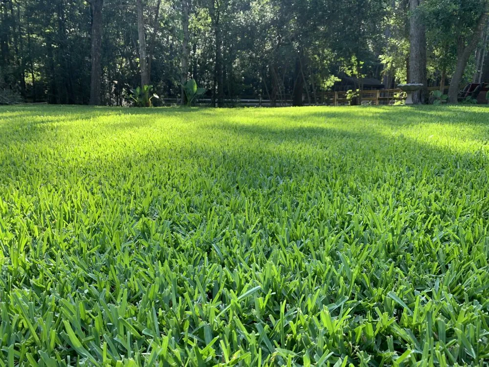 Expert landscape design for beautiful yards in Magnolia, TX by L7 Lawn Services
