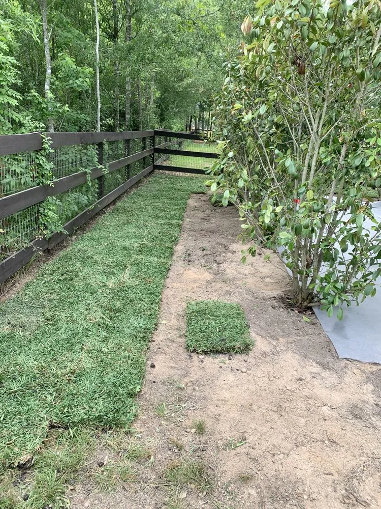 Top-rated landscape design near you in Magnolia, TX by L7 Lawn Services