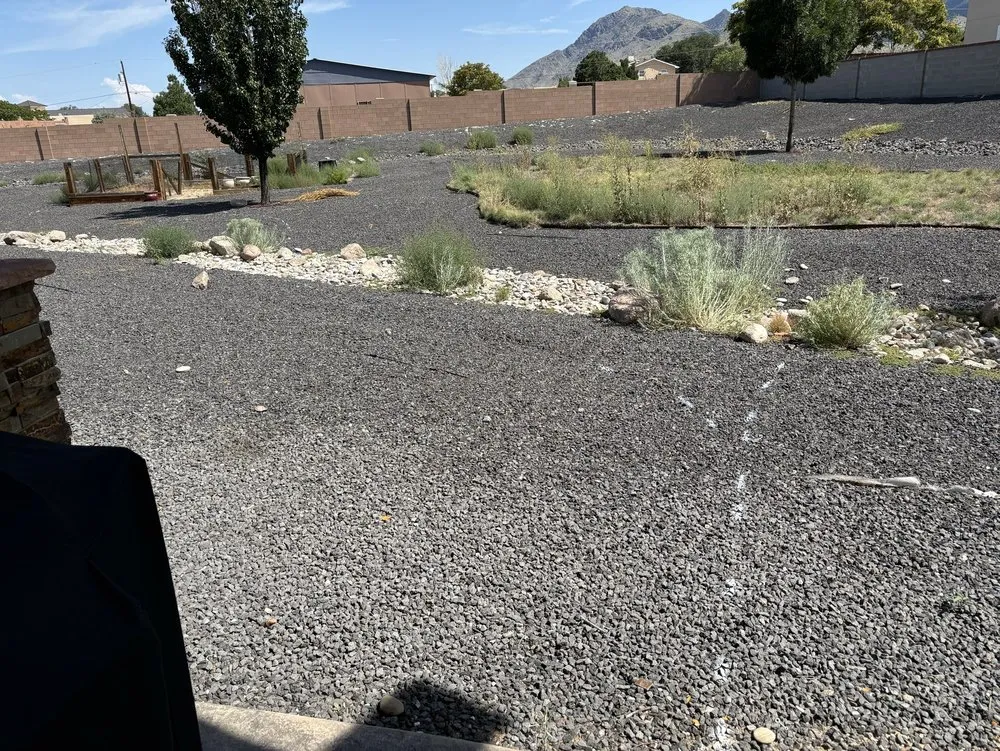 Expert landscaping services for year-round maintenance in Albuquerque, NM by La Barge Landscape