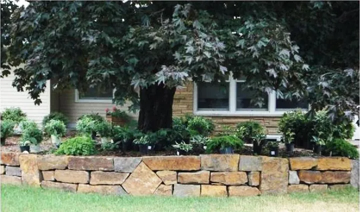 Local landscaping services in Minneapolis, MN by La Belle Terre