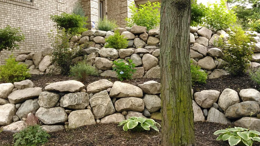 Affordable yard cleanup service in Minneapolis, MN - La Belle Terre