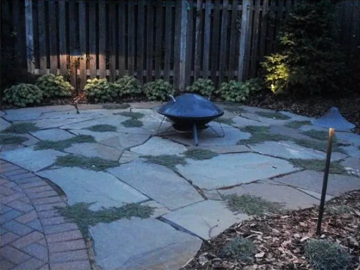 Affordable yard maintenance in Minneapolis, MN by La Belle Terre