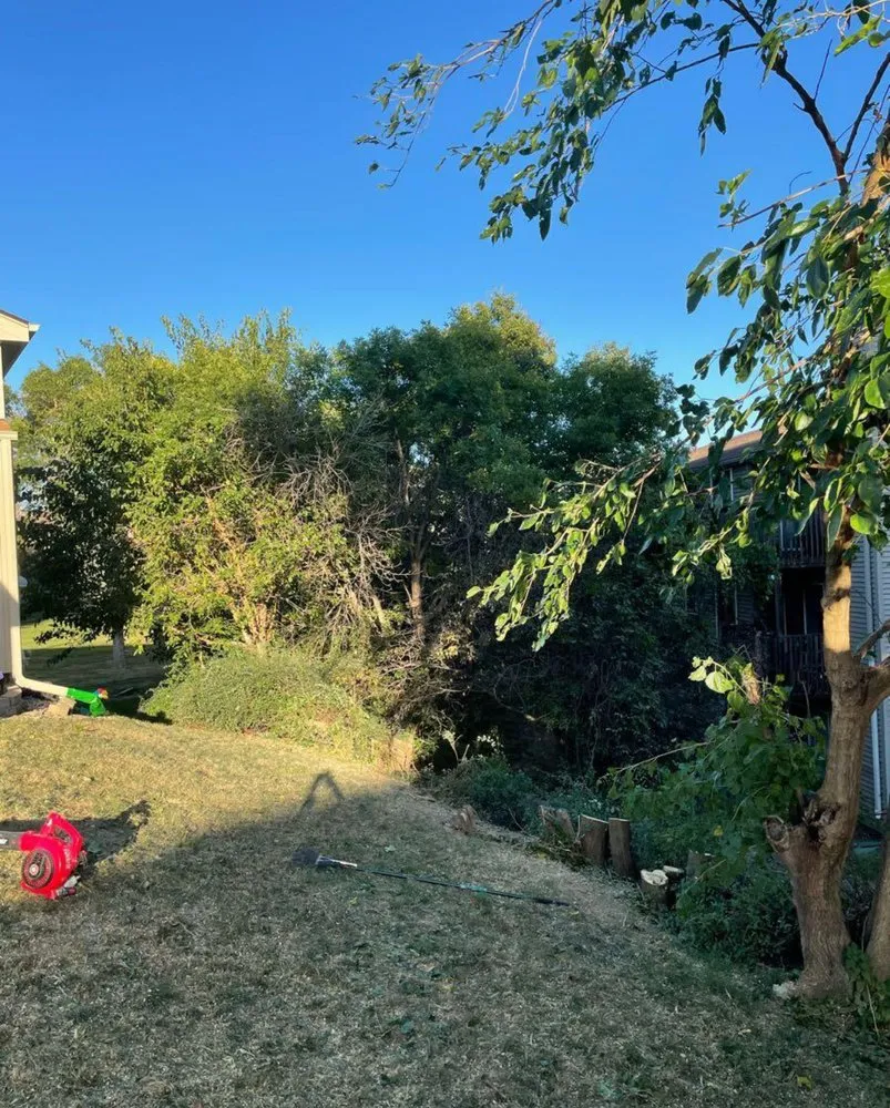 Trusted lawn care service in Omaha, NE - La Bendicion