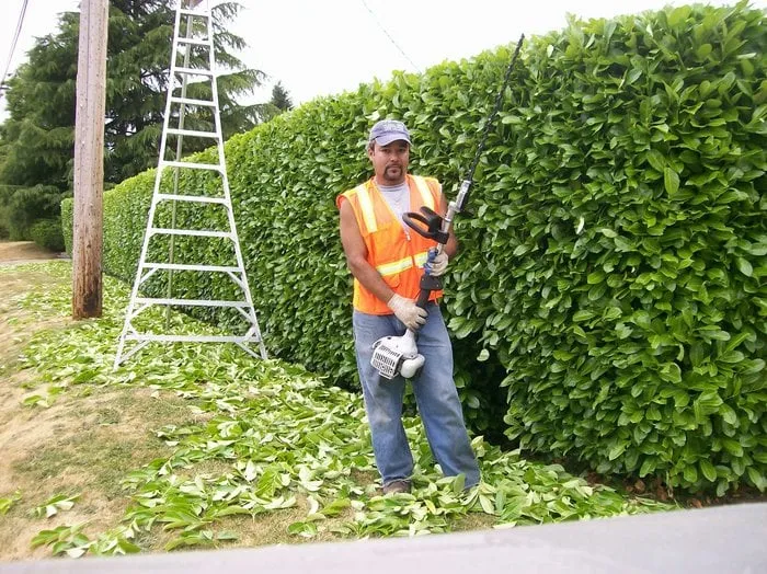 Professional lawn care service in Seattle, WA by La Casa Verde Landscaping