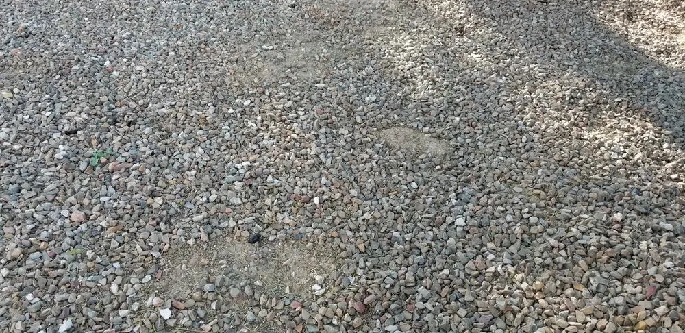 Expert lawn care service experts serving Tucson, AZ - La Cholla Landscaping