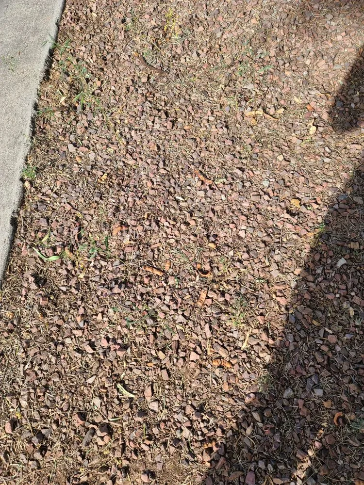 Top-rated residential landscaping for homes in Tucson, AZ by La Cholla Landscaping