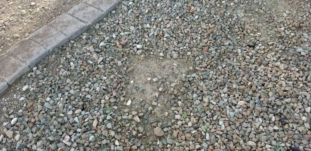 Expert outdoor landscaping in Tucson, AZ - La Cholla Landscaping