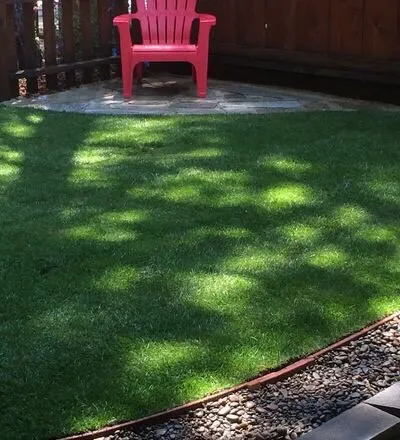 Professional yard cleanup service in Cameron Park, CA by La Colina Landscaping